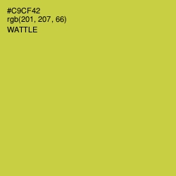 #C9CF42 - Wattle Color Image