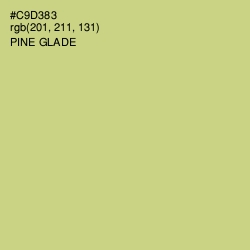 #C9D383 - Pine Glade Color Image