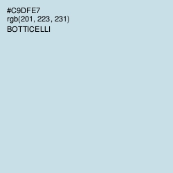 #C9DFE7 - Botticelli Color Image