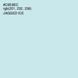 #C9E8EC - Jagged Ice Color Image