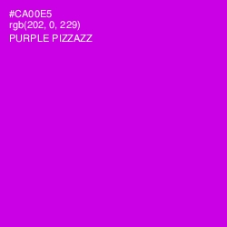 #CA00E5 - Purple Pizzazz Color Image