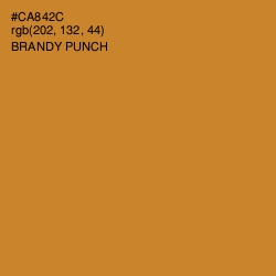 #CA842C - Brandy Punch Color Image