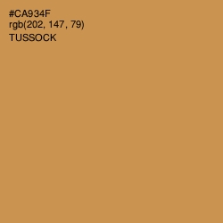#CA934F - Tussock Color Image