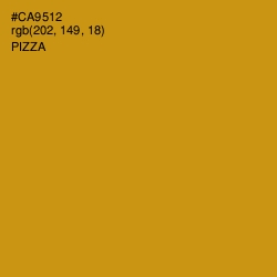 #CA9512 - Pizza Color Image