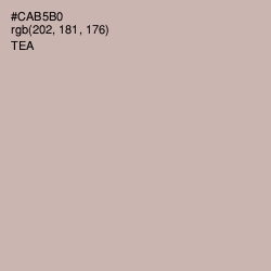 #CAB5B0 - Tea Color Image