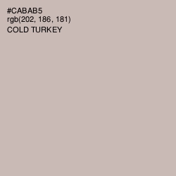 #CABAB5 - Cold Turkey Color Image