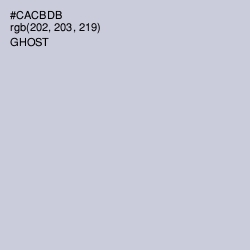 #CACBDB - Ghost Color Image