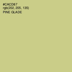 #CACD87 - Pine Glade Color Image