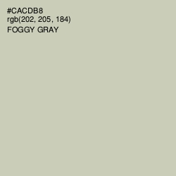 #CACDB8 - Foggy Gray Color Image
