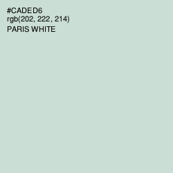 #CADED6 - Paris White Color Image