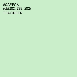 #CAEECA - Tea Green Color Image