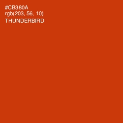 #CB380A - Thunderbird Color Image