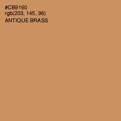 #CB9160 - Antique Brass Color Image
