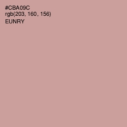 #CBA09C - Eunry Color Image