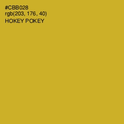 #CBB028 - Hokey Pokey Color Image