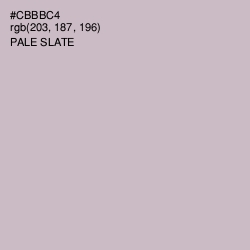 #CBBBC4 - Pale Slate Color Image