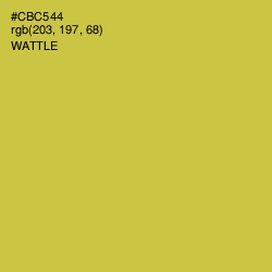 #CBC544 - Wattle Color Image