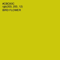 #CBC80C - Bird Flower Color Image