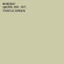 #CBCBA7 - Thistle Green Color Image