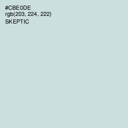 #CBE0DE - Skeptic Color Image
