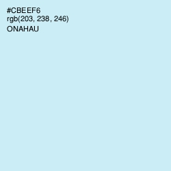 #CBEEF6 - Onahau Color Image