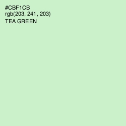 #CBF1CB - Tea Green Color Image