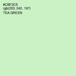 #CBF2C5 - Tea Green Color Image