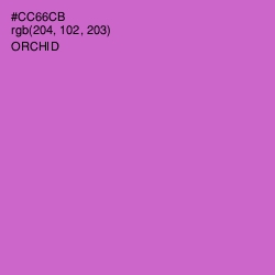 #CC66CB - Orchid Color Image