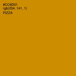 #CC8D01 - Pizza Color Image