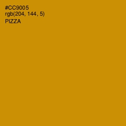 #CC9005 - Pizza Color Image