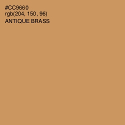 #CC9660 - Antique Brass Color Image