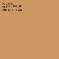 #CC9762 - Antique Brass Color Image