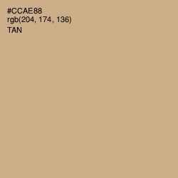 #CCAE88 - Tan Color Image