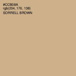 #CCB08A - Sorrell Brown Color Image