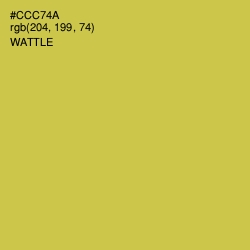 #CCC74A - Wattle Color Image