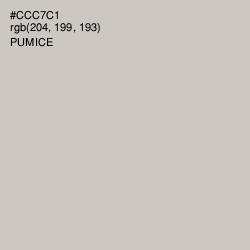 #CCC7C1 - Pumice Color Image