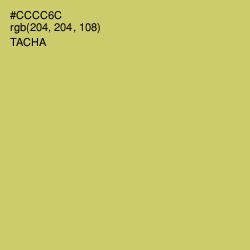#CCCC6C - Tacha Color Image