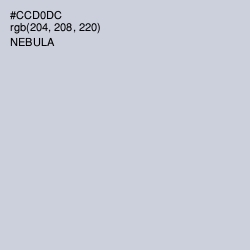 #CCD0DC - Nebula Color Image