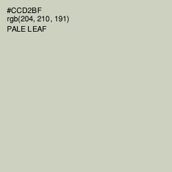 #CCD2BF - Pale Leaf Color Image