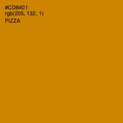 #CD8401 - Pizza Color Image