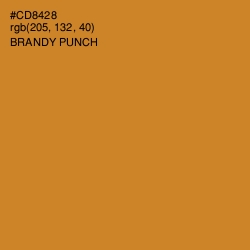 #CD8428 - Brandy Punch Color Image