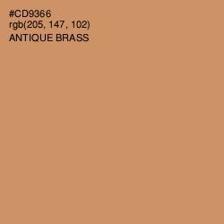 #CD9366 - Antique Brass Color Image