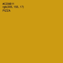 #CD9B11 - Pizza Color Image