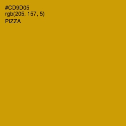 #CD9D05 - Pizza Color Image