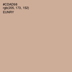 #CDAD98 - Eunry Color Image