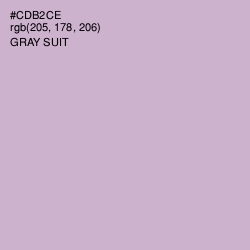 #CDB2CE - Gray Suit Color Image