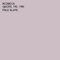 #CDBEC6 - Pale Slate Color Image