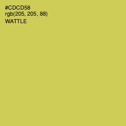 #CDCD58 - Wattle Color Image