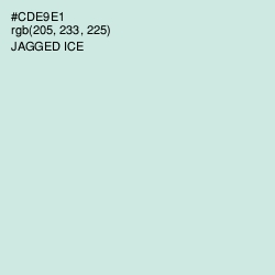#CDE9E1 - Jagged Ice Color Image