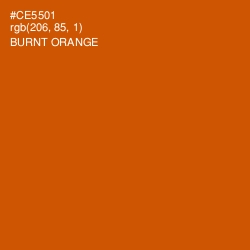 #CE5501 - Burnt Orange Color Image